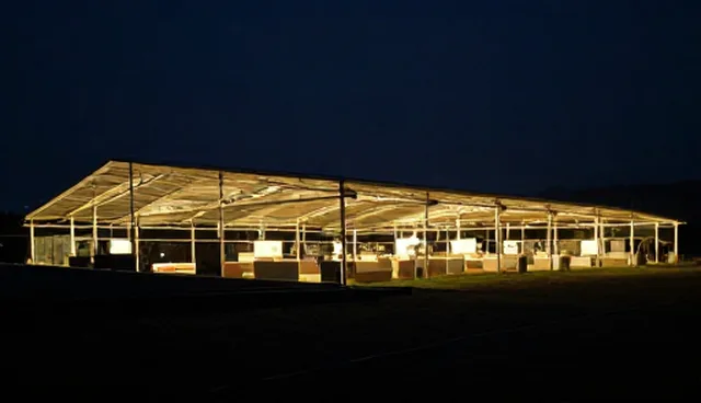 文化空间运营：如何有效使用与维护文化活动策划方案