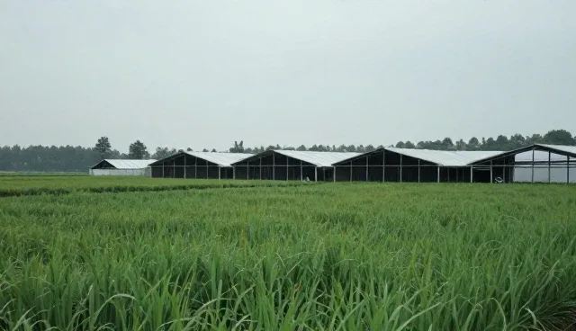 提升用户参与度的关键在于细节品质把控